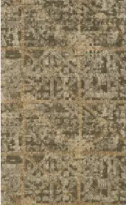 Patterned Carpet