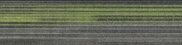 Strip Shape Blue High Traffic Commercial Carpet Tiles