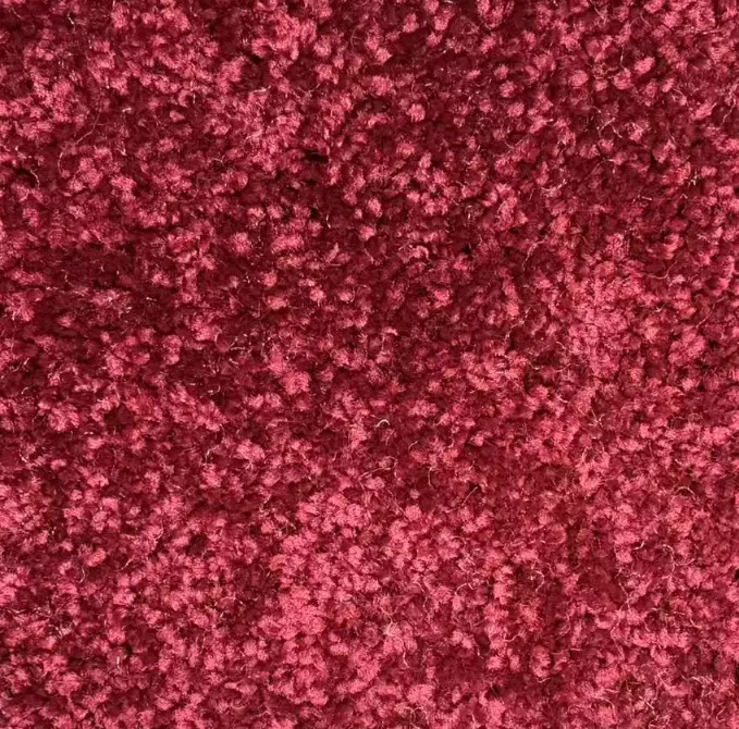 100% nylon carpet (2)